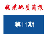 《皖煤地质简报》第11期（总第011期）
